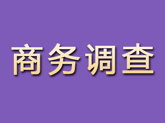 宝山区商务调查